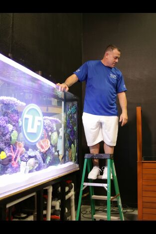 Acuarios XXL: Todos en el océano