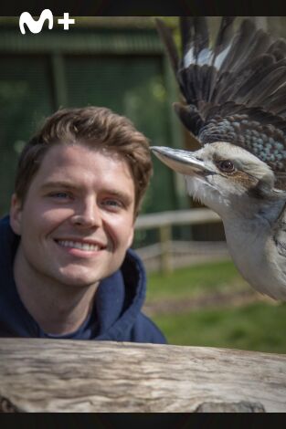 One Zoo Three: El zoosical