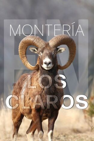 Montería en los claros