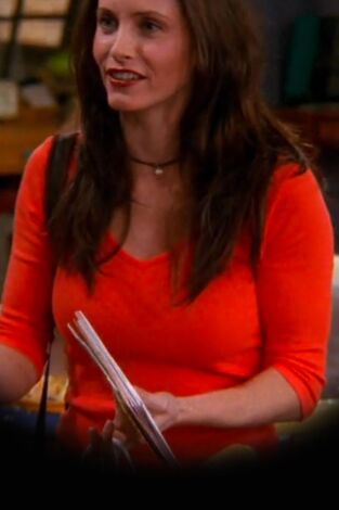 Friends (T6): Ep.22 En el que Paul es el elegido