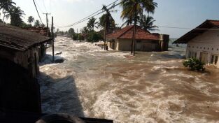 Tsunami: La carrera contra el tiempo: Noticias de última hora