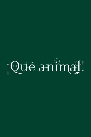 ¡Qué animal!
