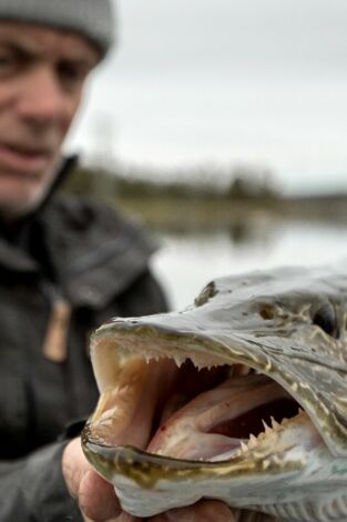Aguas profundas con Jeremy Wade: Un depredador de la era glacial