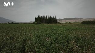 Crónica negra de la Antigua Grecia: Episodio 5