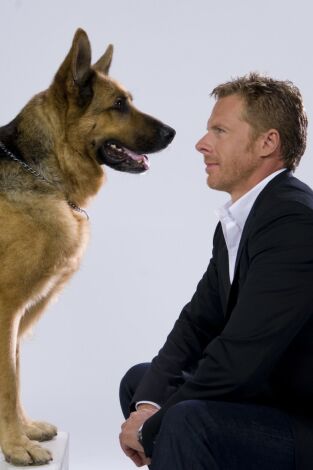 Rex, un policía diferente (T13): Ep.5 Minutos contados