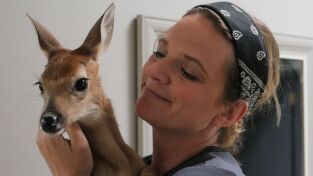 Veterinarios de Nebraska: Una vida maraciervosa