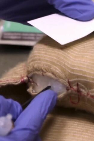 Control de fronteras: España: Episodio 2