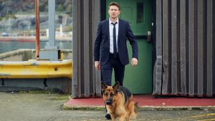 Hudson y Rex (T1): Ep.2 Frikis sin miedo