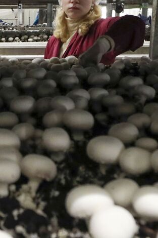 ¿Cómo lo hacen?: Episodio 16