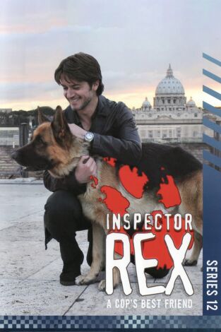 Rex, un policía diferente (T12): Ep.6 Mascarada