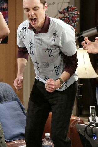 Big Bang (T1): Ep.9 La polarización Cooperhofstadter