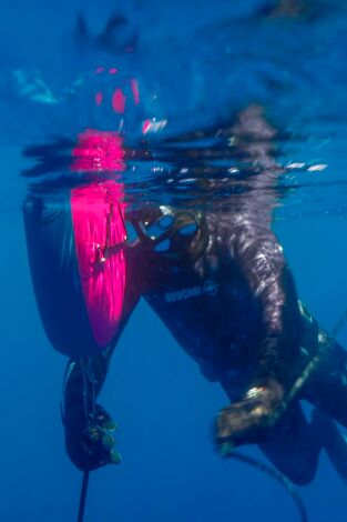 Pesca submarina en los mares del sur: Episodio 2