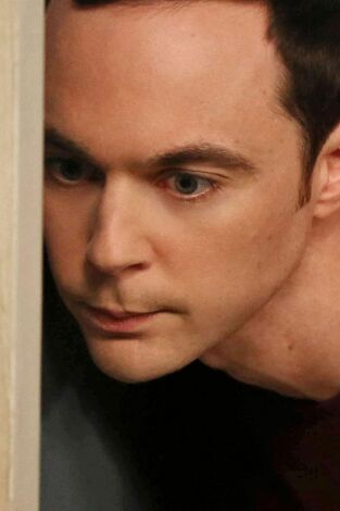 Big Bang (T7): Ep.2 La verificación del engaño