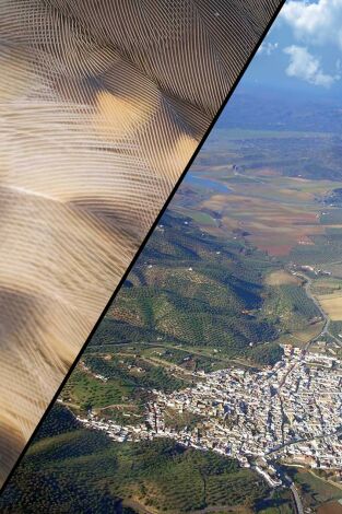 Zorzales en la puebla de los infantes