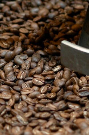 Así se hace: Tostadores de café