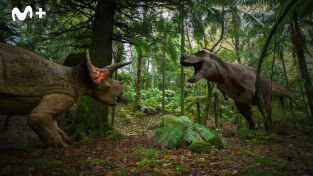 Extras de Caminando entre dinosaurios: Últimos días