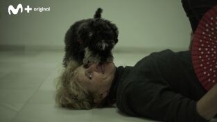 Scott y Milá: Baile