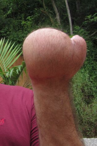 Diagnósticos extraordinarios: Episodio 5