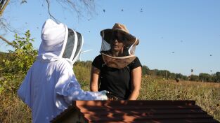 La increíble granja del Dr. Pol: Se acerca el invierno