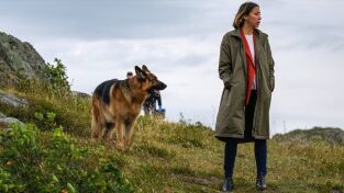 Hudson y Rex (T4): Ep.8 Muerte súbita