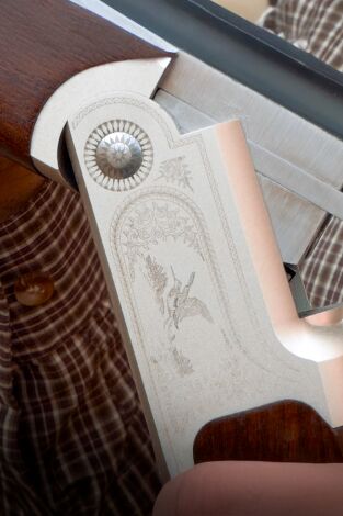 Locos por el 20: Codornices: escasas y complicadas