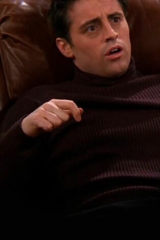 Friends (T7): Ep.21 El de los votos