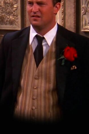 Friends (T8): Ep.1 El de después del "sí, quiero"
