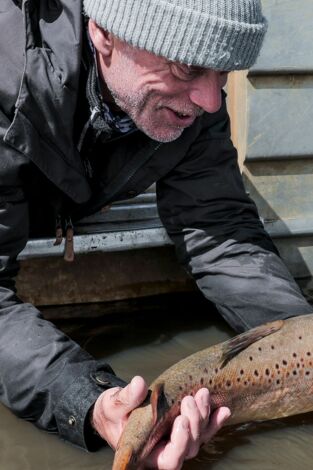 Aguas profundas con Jeremy Wade: Bestia de río jurásica