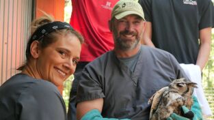 Veterinarios de Nebraska: El Señor de las alas