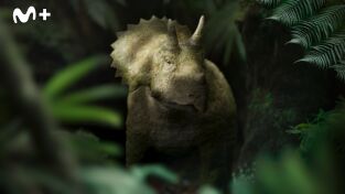 Caminando entre dinosaurios: La huérfana Triceratops