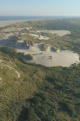Los paises bajos salvajes. Un pais bajo el nivel del mar