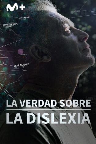 La verdad sobre la dislexia