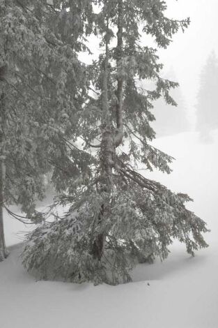 El blanco invierno, estación en el borde alpino