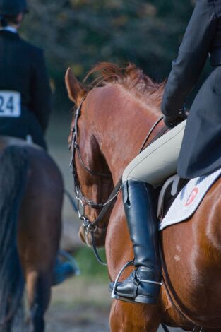 OXER Hípica (T2025): Gran Premio Longines