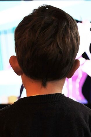 El carreró del misteri: Investigació blanca