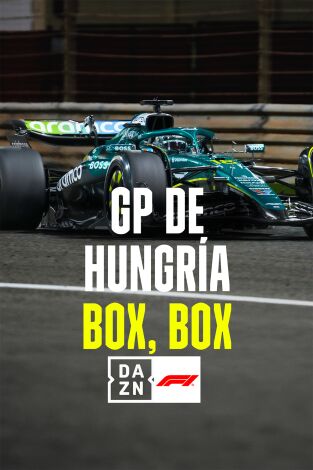Mundial F1 - GP de Hungría (T2025): Box, Box