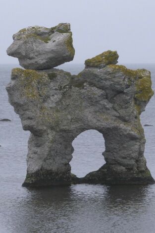 Turismo rural en el mundo: Suecia. Gotland: La Isla De Los Godos