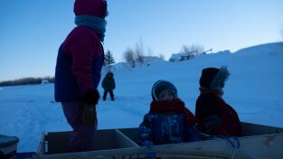 Los primeros habitantes de Alaska: Alimentos que provee la naturaleza