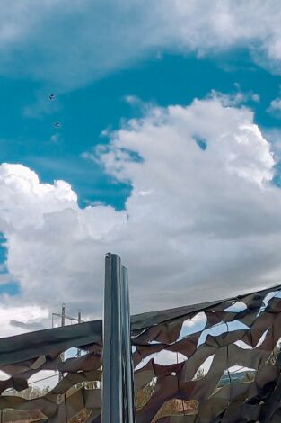 Locos por el 20: El reto de las torcaces