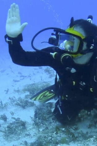 Expedición al pasado: Finding The Lost Pilots Of WW2