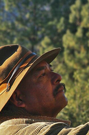 ¿Cómo lo hacen?: Guacamole / Vehículo para pantanos / Tijeras