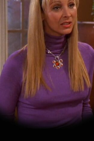 Friends (T8): Ep.7 El de la mancha