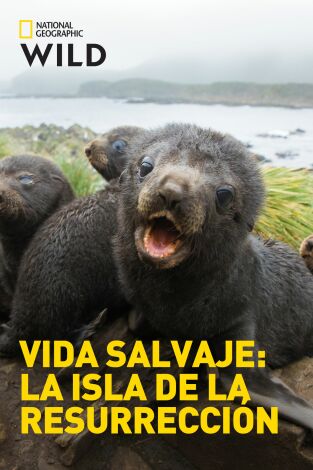Vida salvaje: la isla de la Resurrección