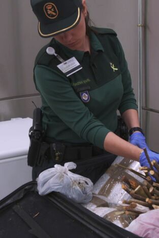 Control de fronteras: España: Episodio 3