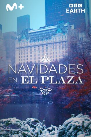 Navidades en el Plaza