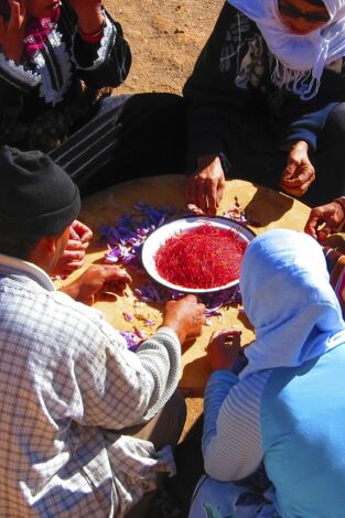 ¿Cómo lo hacen?: Azafrán / Carreteras heladas / Shelby