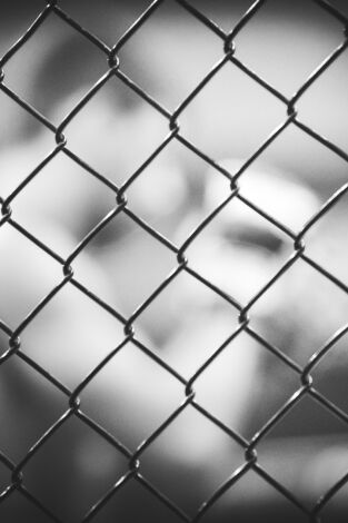 UFC Fight Night: Reyes vs Prochazka (T2021): Reyes-Prochazka