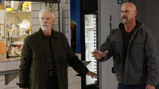 Ley y Orden: Crimen organizado (T4): Episodio 10