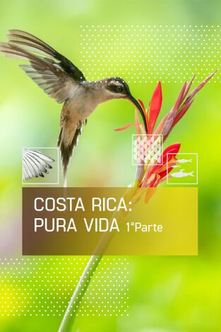 Costa Rica: Pura Vida 1