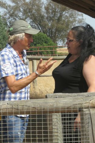 Volando voy: Doñana